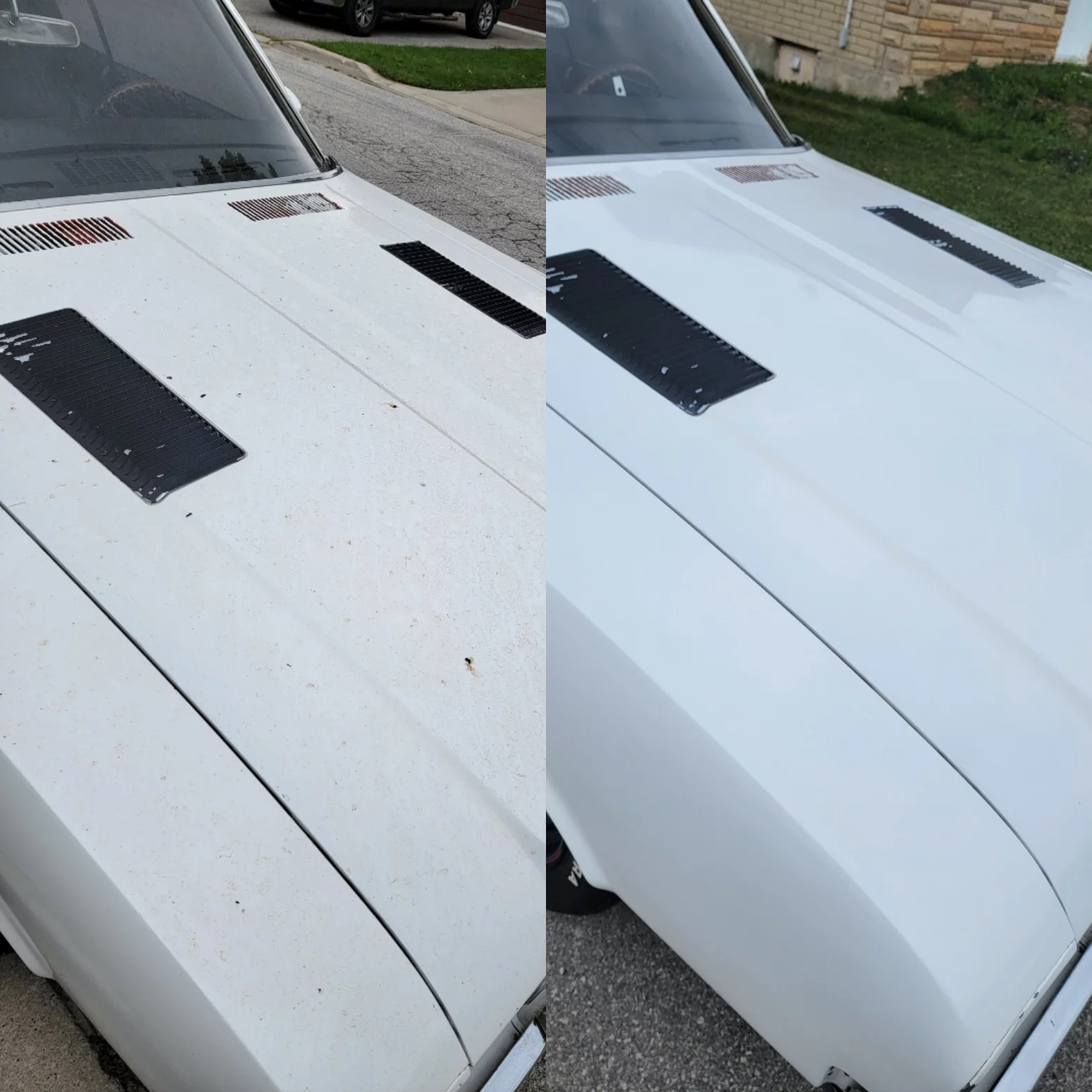 papas precision detailing professional detailing services in sauble beach on