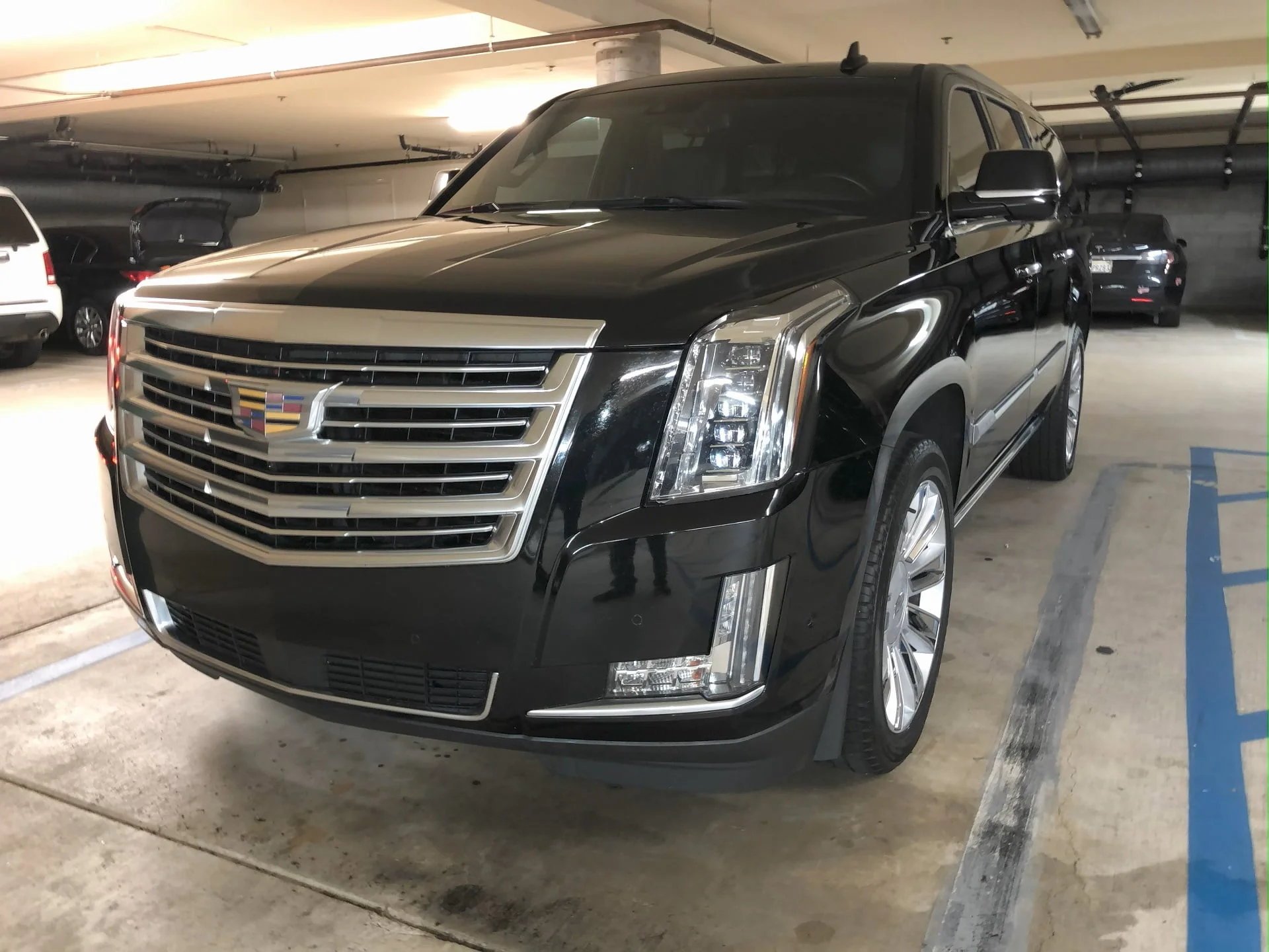 premium car detailing services in collingwood by papa’s precision detailing.